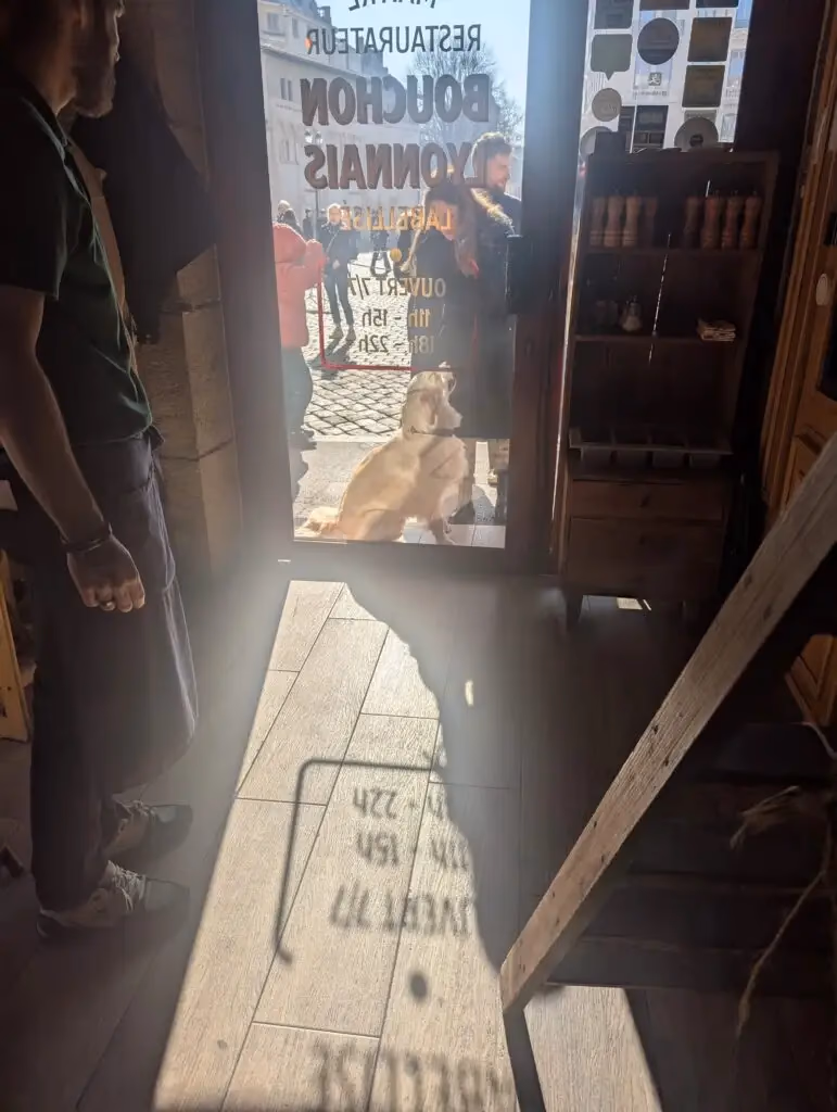 Gros chien qui attend devant la porte du restaurant