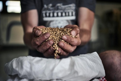 Simon Potier fondateur de la Canute Lyonnaise